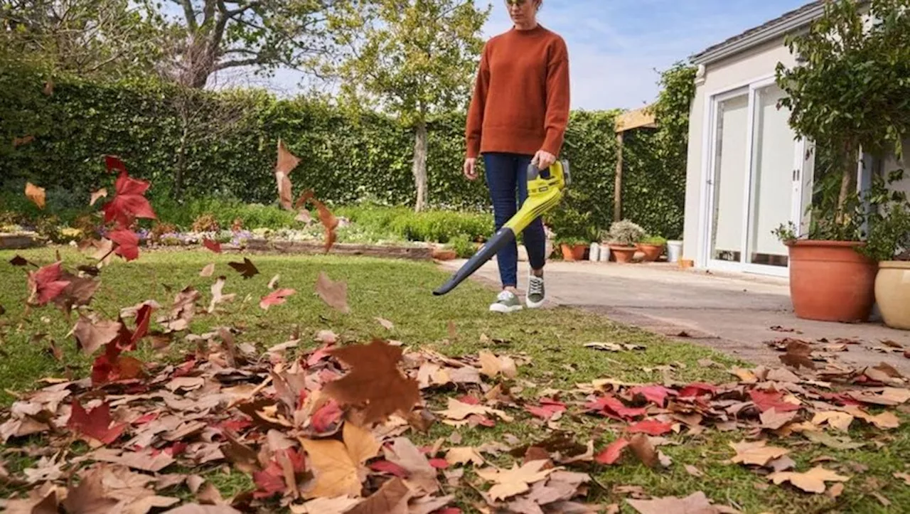 – 23 % sur Amazon, ce souffleur de feuilles de marque est une très bonne affaire