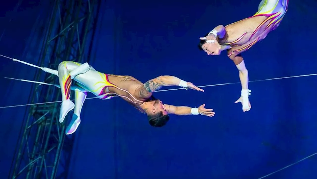 Le cirque traditionnel s’installe à Valence-d’Agen pour Noël avec un programme unique