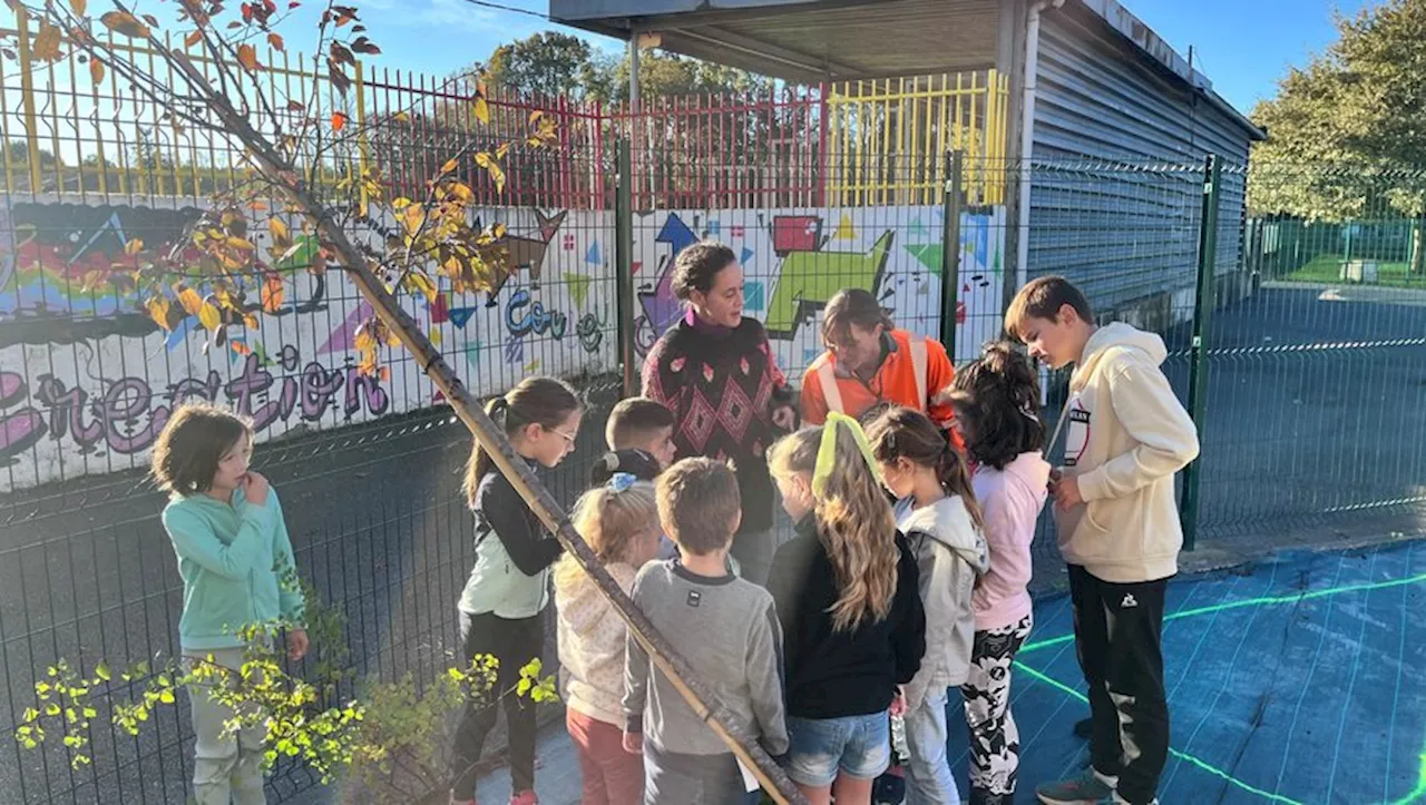 Les enfants de Juillan transforment leur cour d’école en oasis végétale