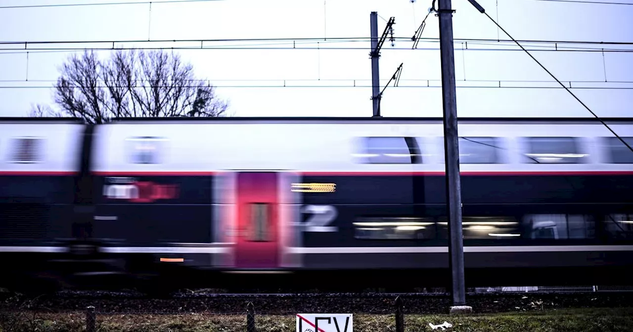 LGV Bordeaux-Toulouse : quatre antennes locales du Medef appellent à «mener ce projet à son terme»