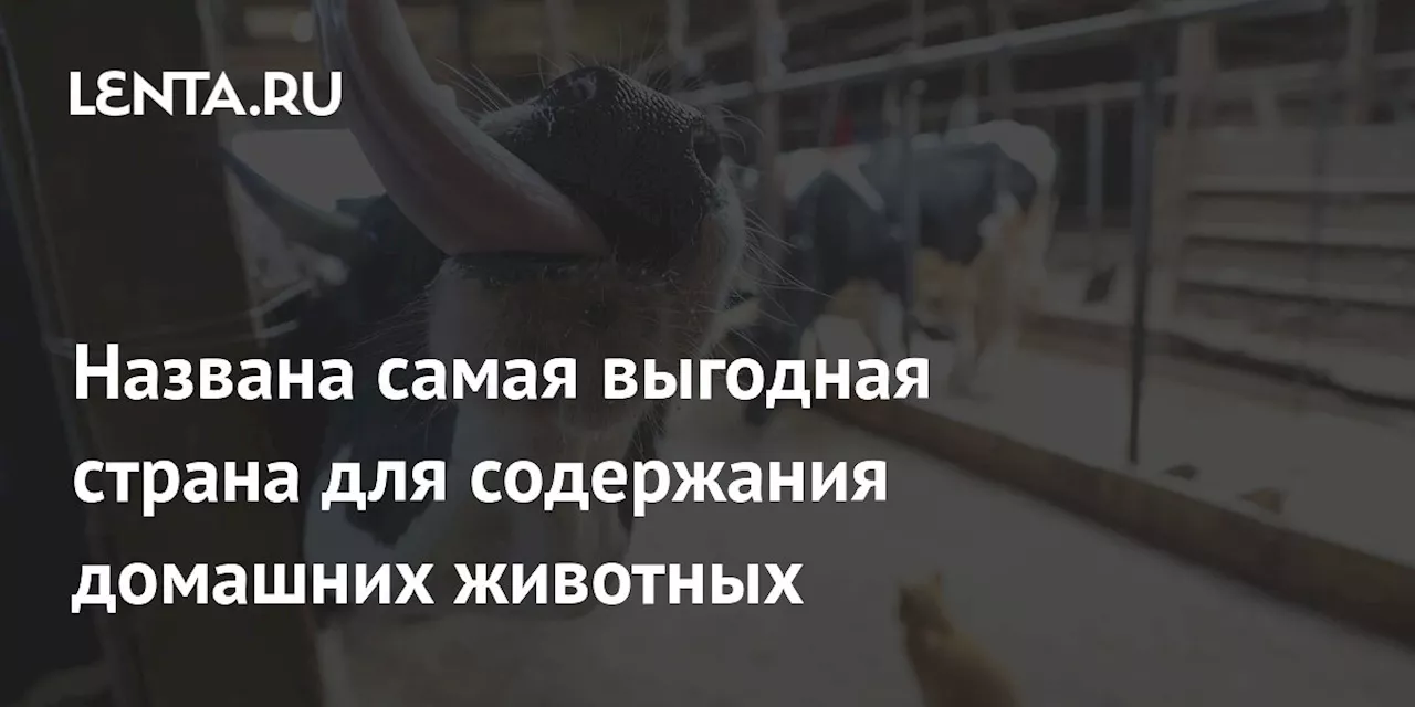 Названа самая выгодная страна для содержания домашних животных