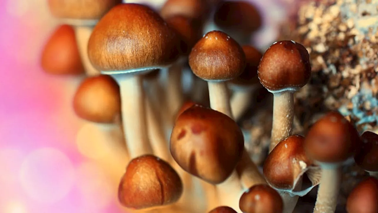 Will Psychedelics Break the Major Depression Logjam?