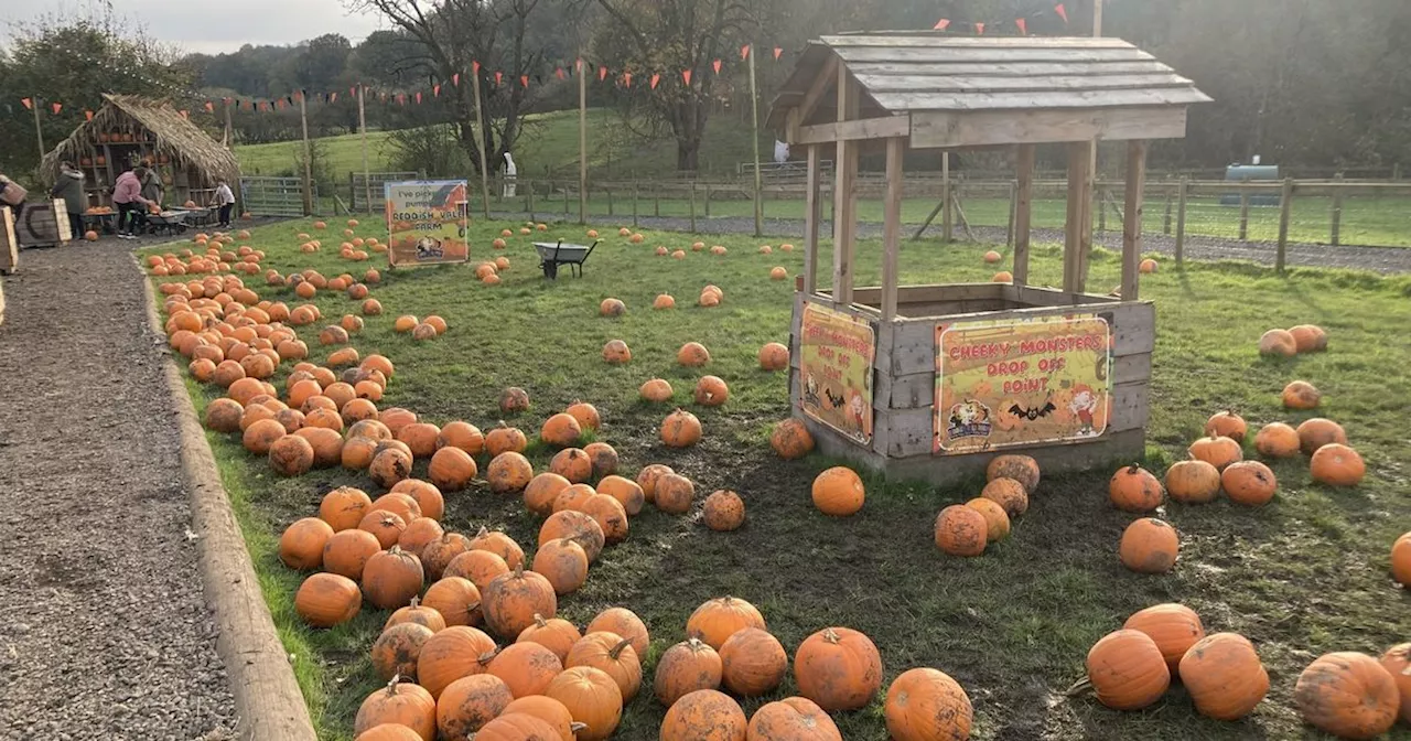 I took the kids to popular Halloween event and left with two regrets