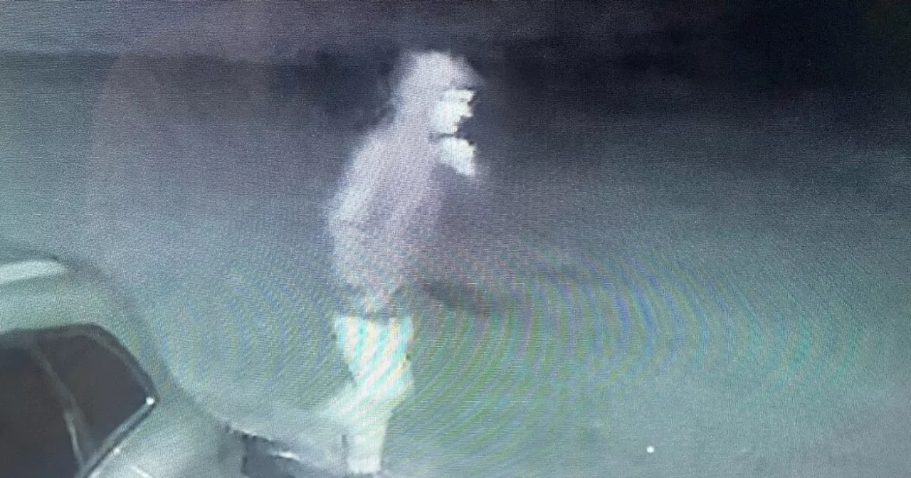 New CCTV picture released in major search for missing 55-year-old man