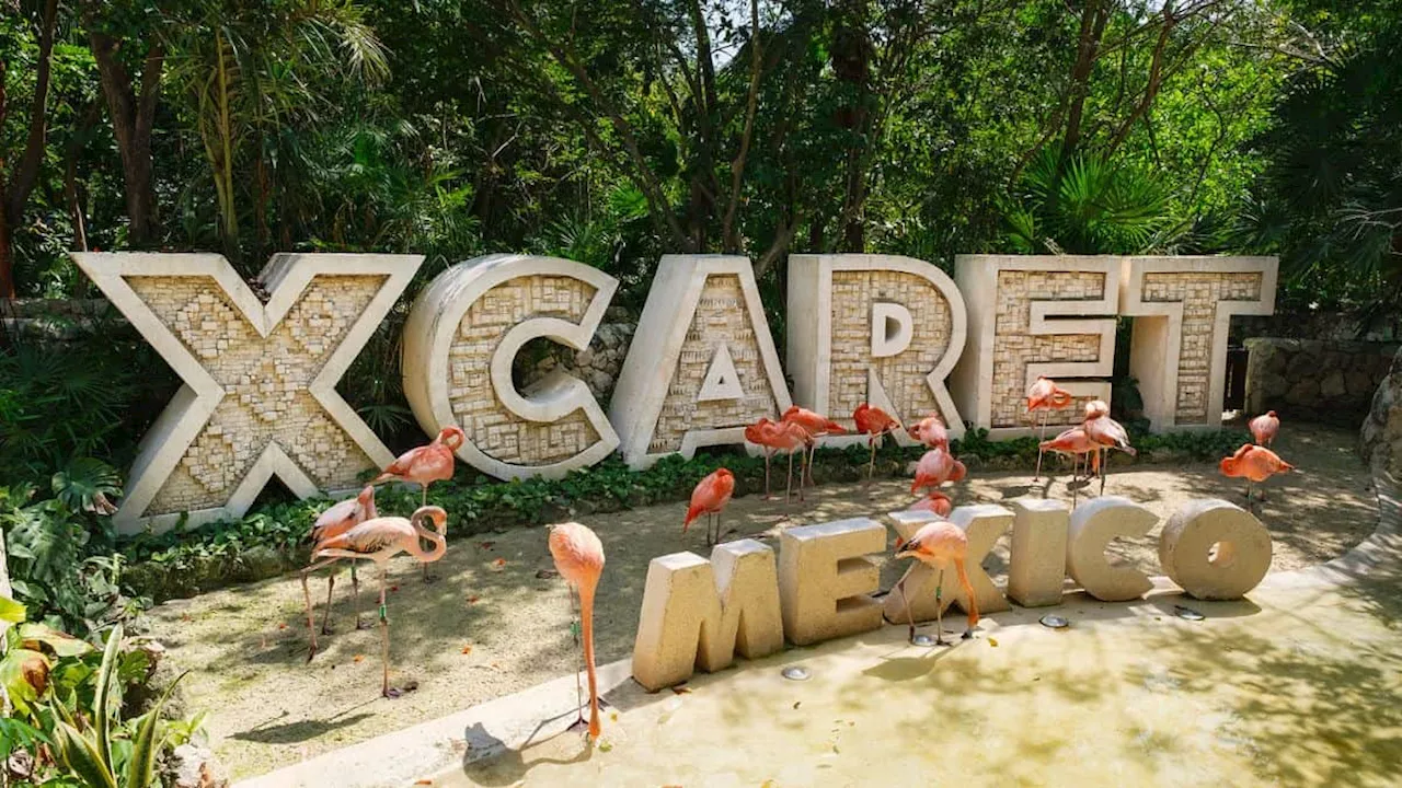 Aseguran que Xcaret desacata fallo por uso de símbolos mayas en su publicidad