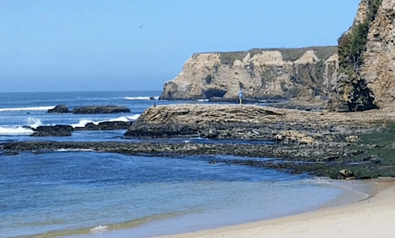 Dead person pulled from surf at Davenport beach