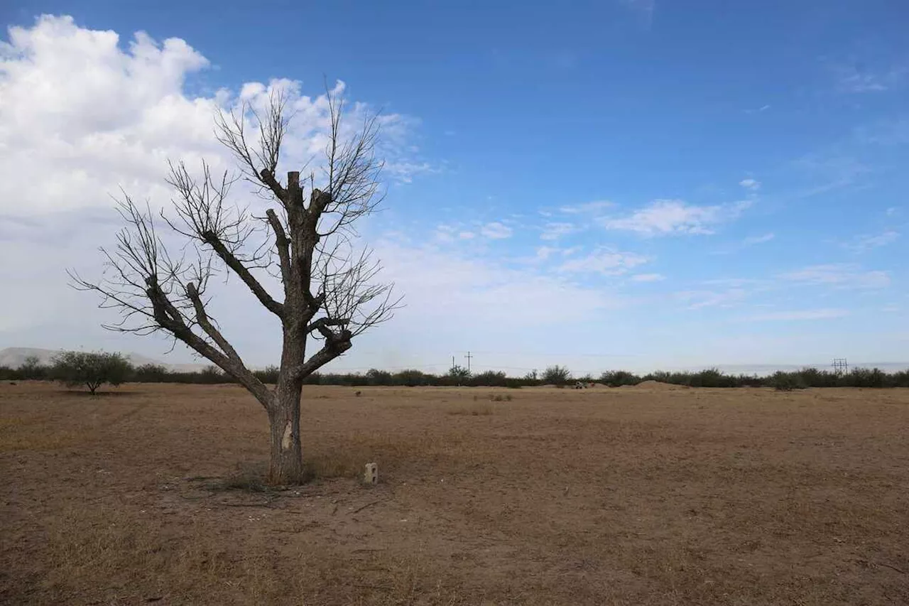 Coahuila y Durango, afectados por sequía en al menos 10 de sus municipios, cada año