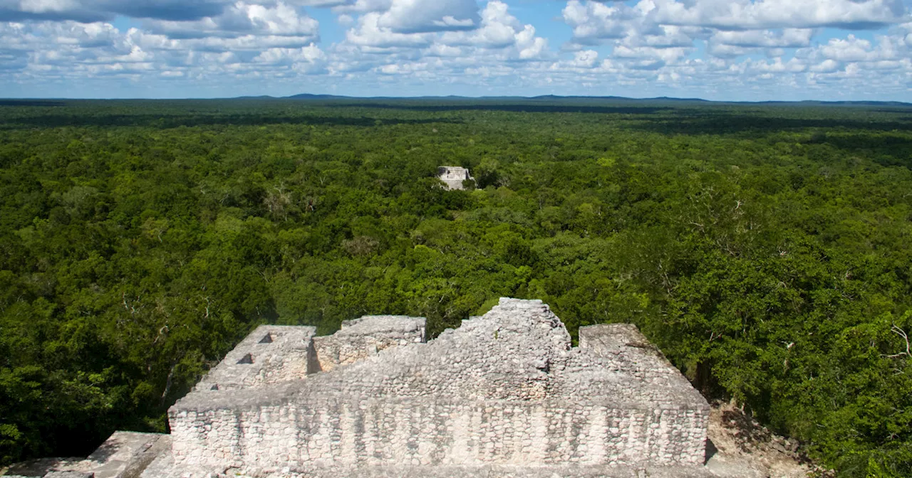 Vast ancient Mayan city is found in a Mexican jungle — by accident