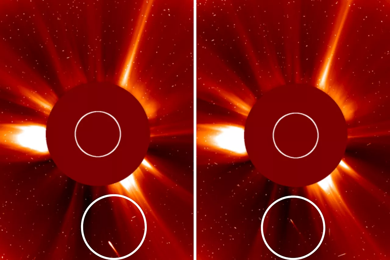 NASA Video Reveals Sun Melted Comet ATLAS to Nothing