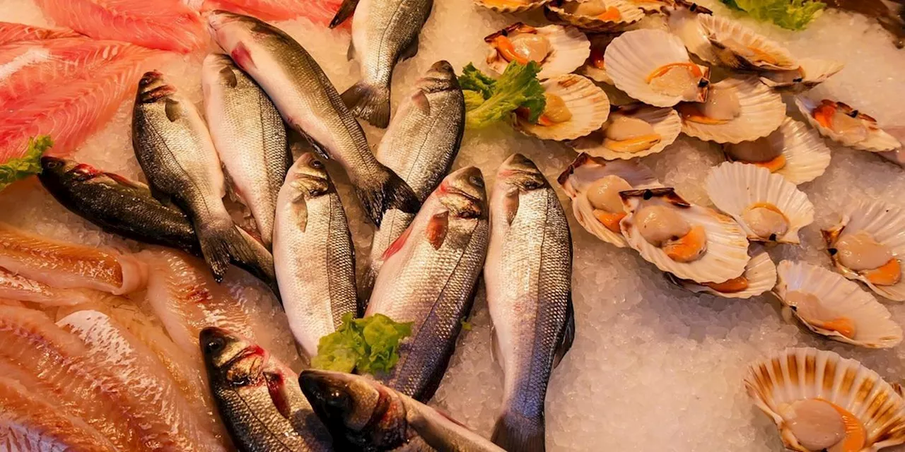 Auch bei Rewe verkauft: Dringender Fisch-R&uuml;ckruf &ndash; Fieber und Durchfall drohen bei Verzehr