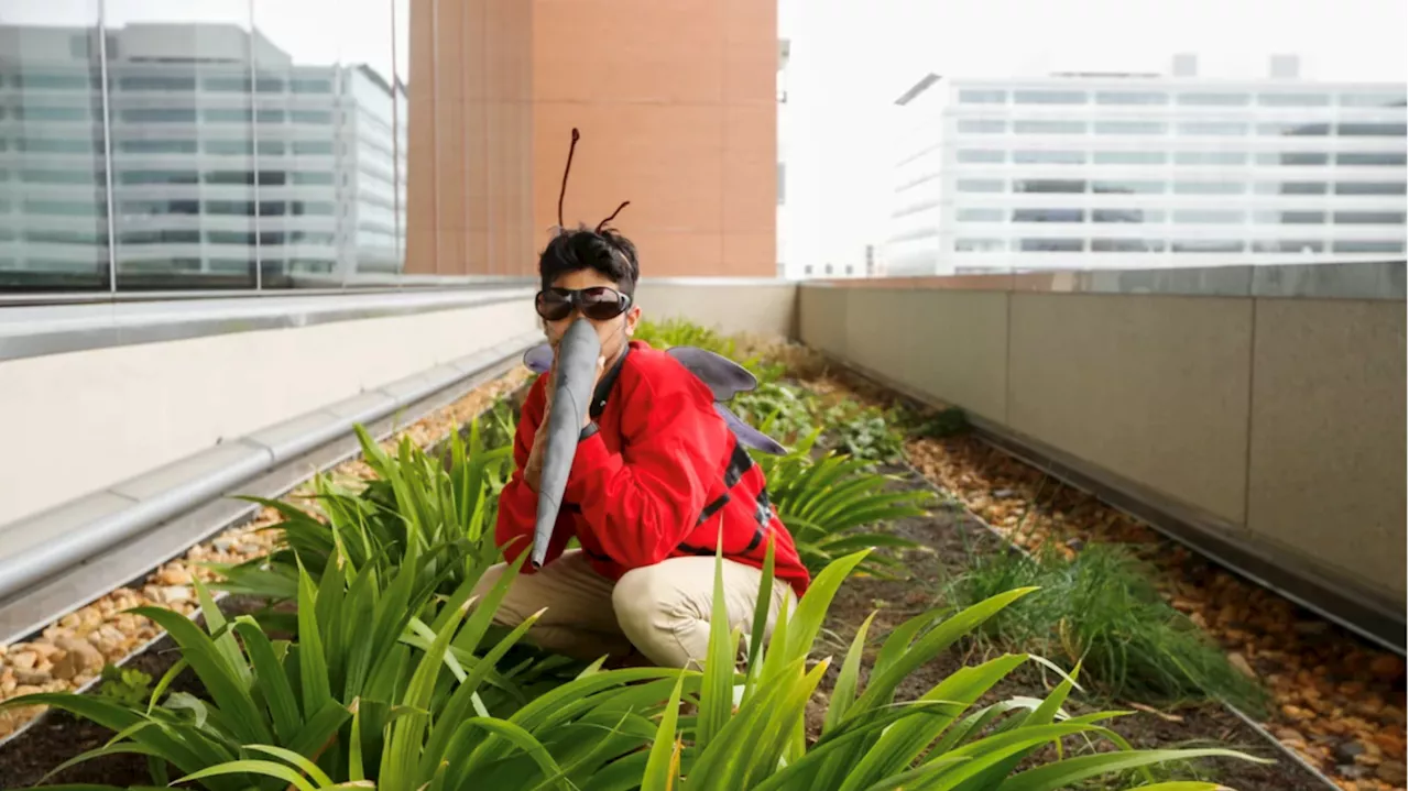 This DIY Halloween costume turns you into the world's scariest animal