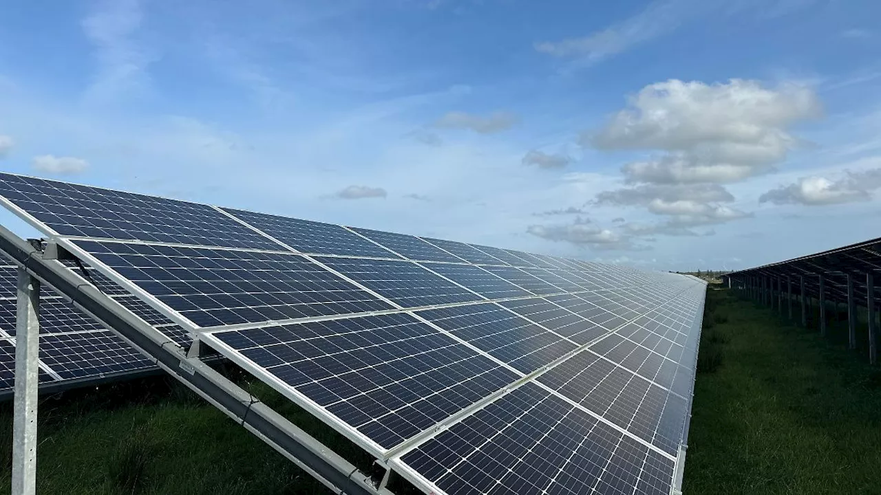 Sachsen-Anhalt: Baubeginn für Solarpark in Kiesgrube bei Zerbst