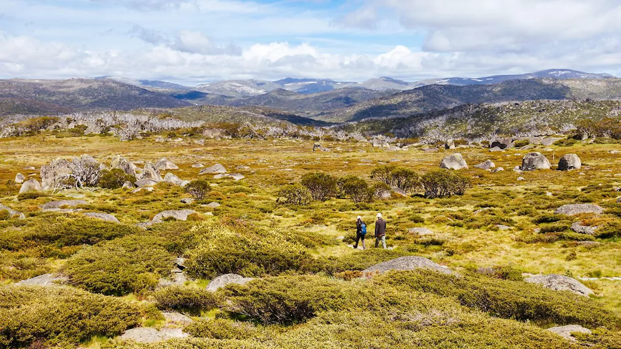 Von Schlange gebissen: Fotografin überlebt tagelang in australischem Gebirge