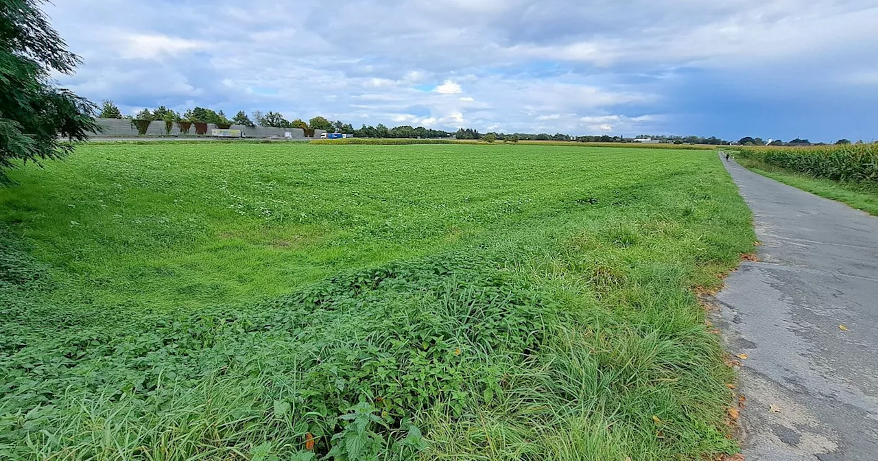 Neue Unterkunft für Geflüchtete im Kreis Gütersloh: Darum wird die Entscheidung vertagt