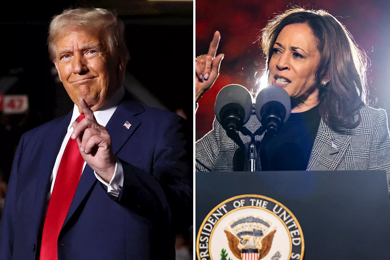 Trump tells supporters to ‘be nice’ after ‘lock her up’ chant aimed at Kamala Harris