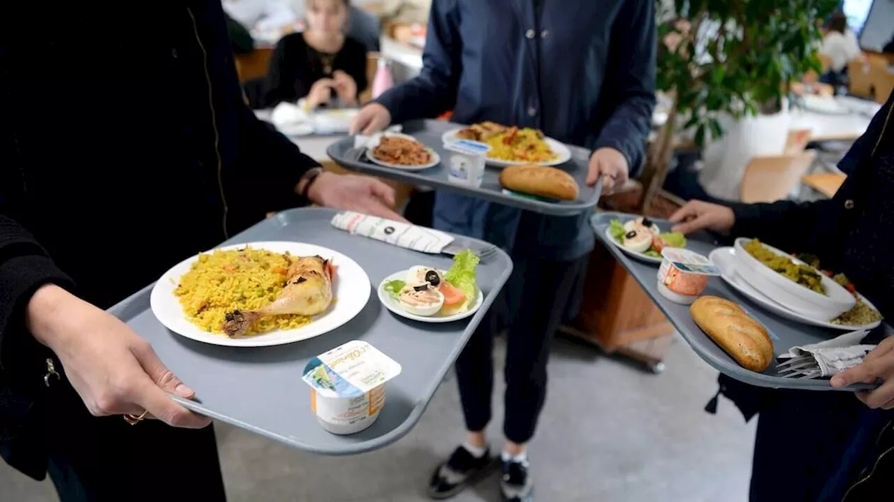 Le repas à un euro pour tous les étudiants adopté en commission des Finances