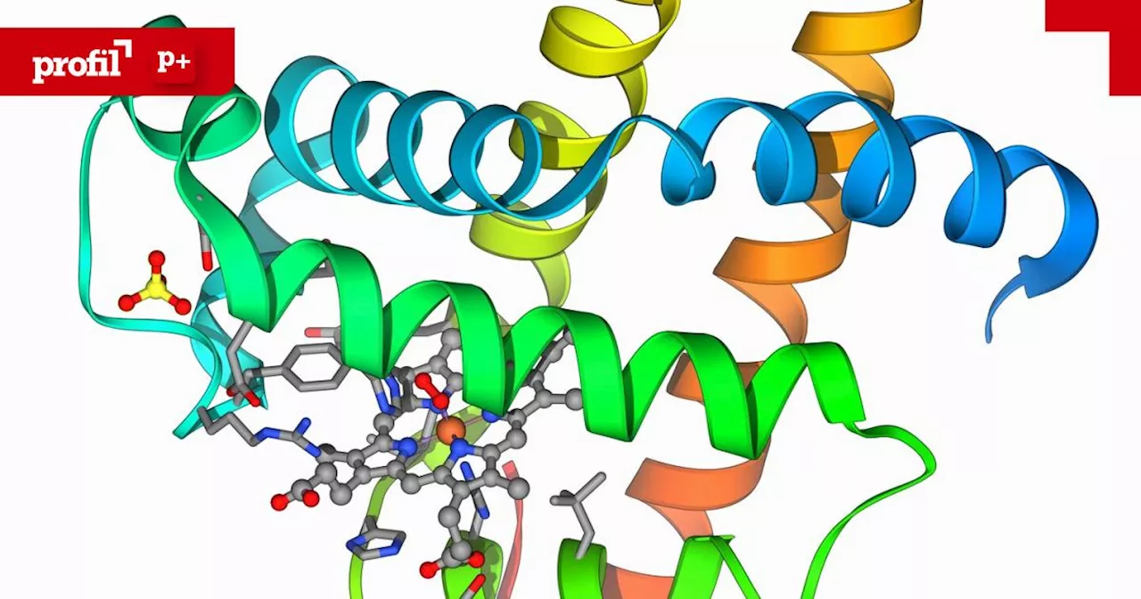 Proteine: Bausteine des Lebens und Geheimnis vieler Krankheiten