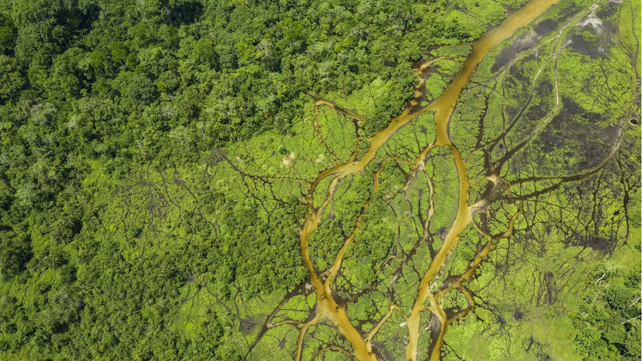 Aide face au changement climatique : la République démocratique du Congo n'a pas reçu les financements attendus, selon un rapport