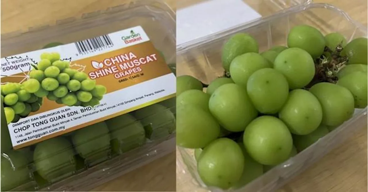 MOH: Shine Muscat Grapes Are Safe To Consume As No Excessive Pesticides Were Found