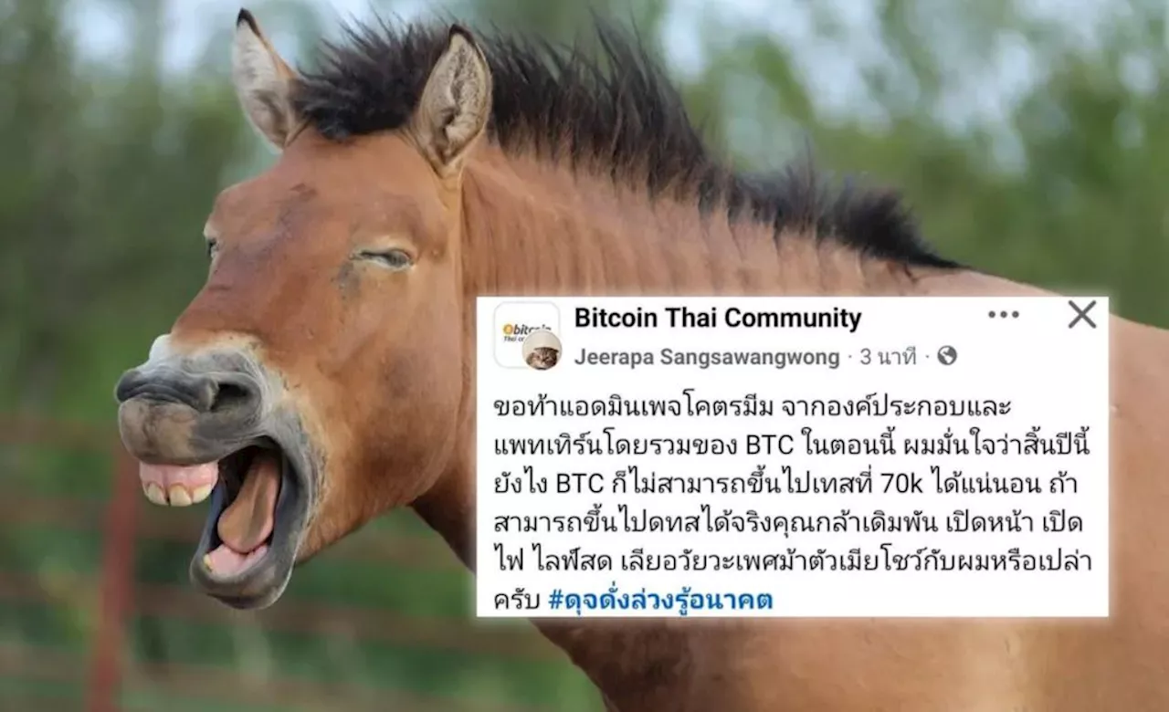 ตามหาคนหาย! กูรูขวัญใจ Bitcoin Thai Club หายตัว หลังทำนาย Bitcoin ไม่มีทางแตะ $70,000