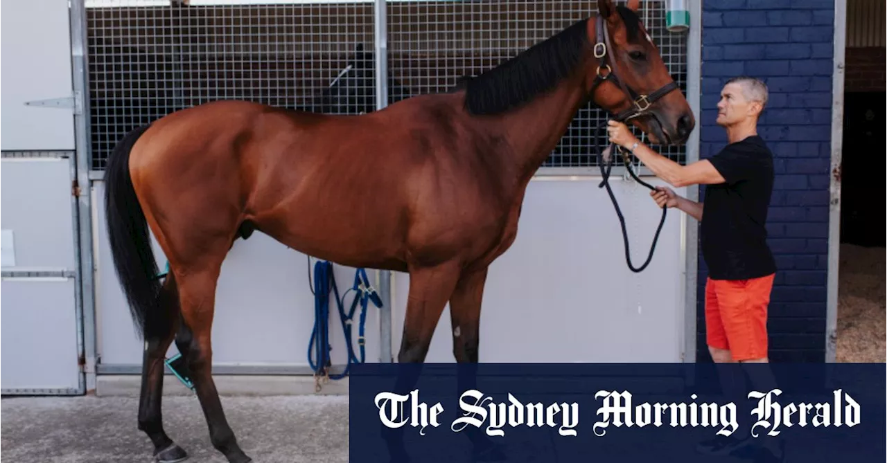 The horse that proves Golden Eagle is becoming a true international race