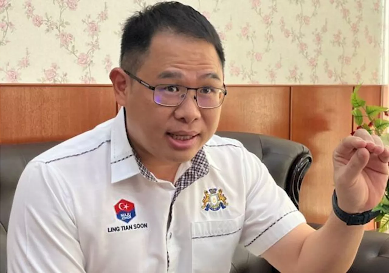 Dengue cases in Johor increase by 36%, says exco chairman