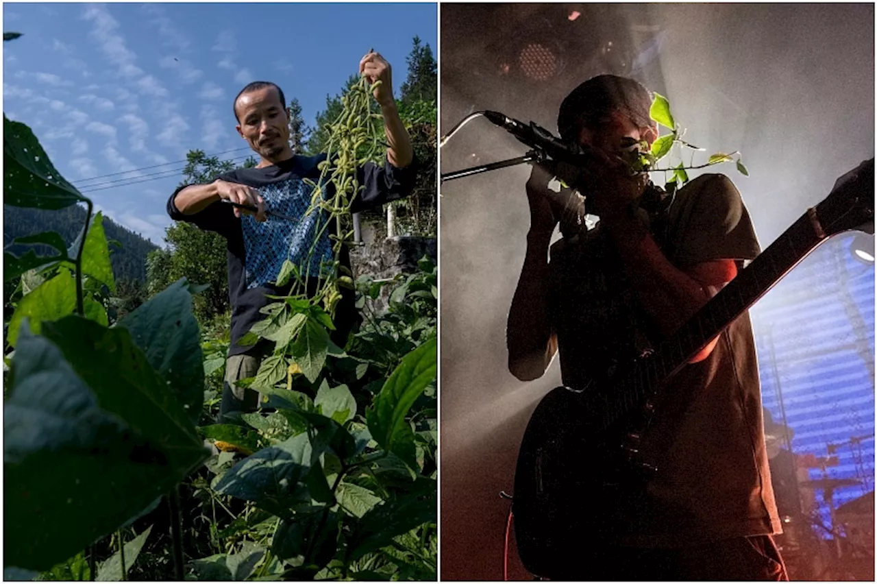 Part-time farmers, part-time rock stars: A Chinese band’s unlikely rise