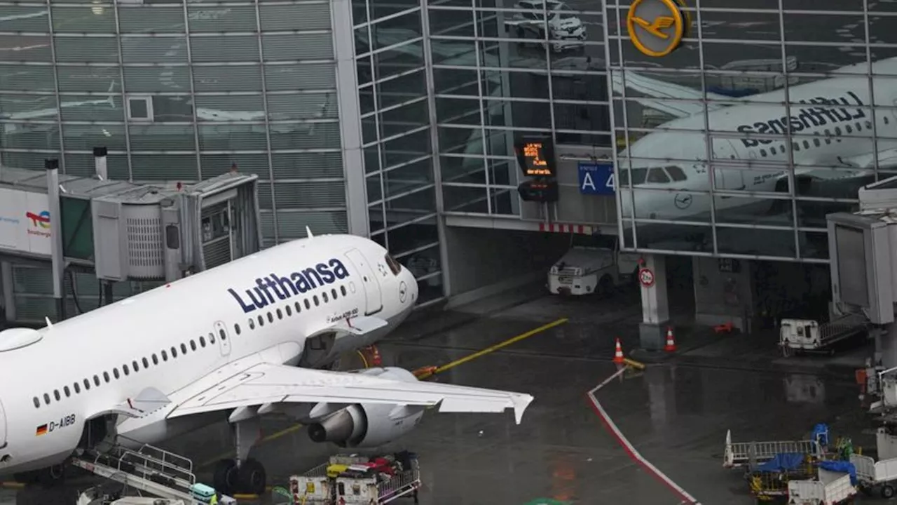 Rekordumsatz: Lufthansa muss trotz Super-Sommer sparen