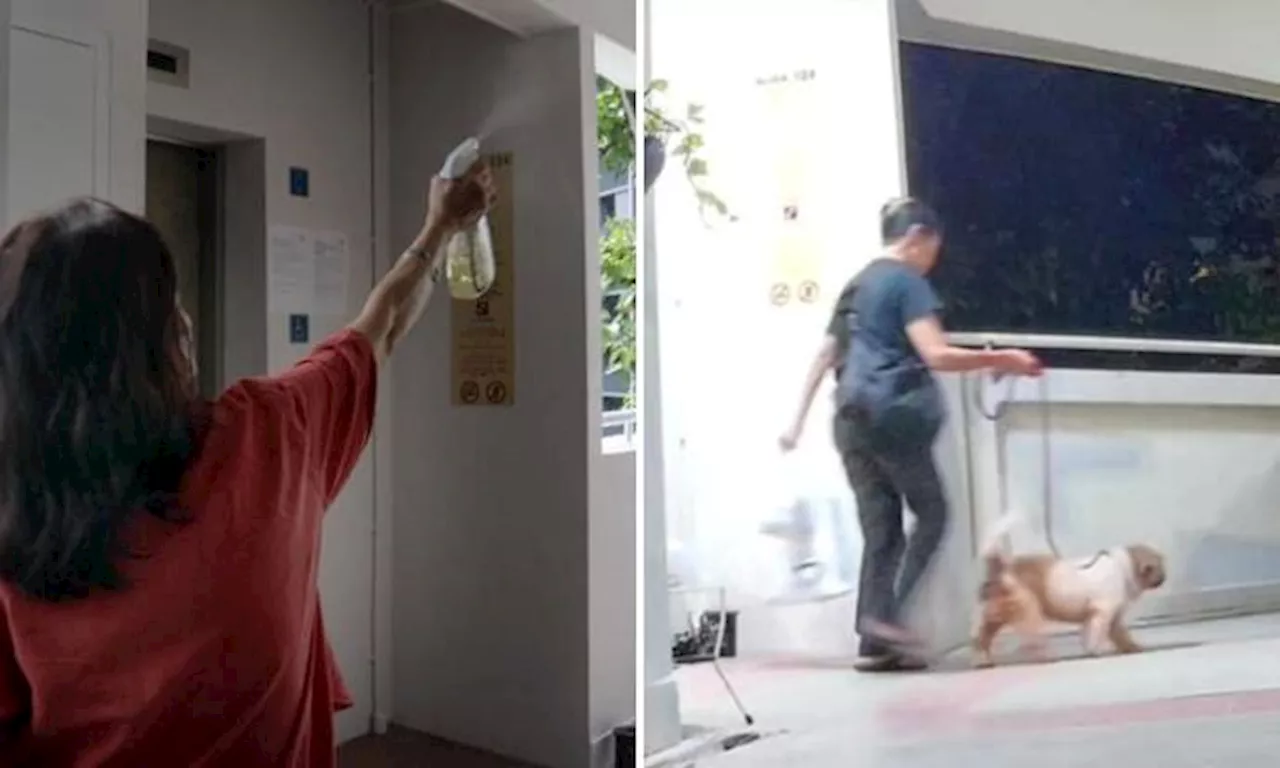 Sengkang resident spends nearly $100 a month on anti-odour products because of neighbour's dog