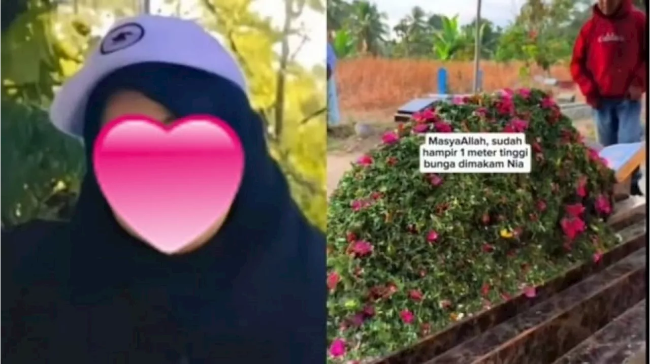 Viral Makam Gadis Penjual Gorengan Nia Kurnia Sari Dipenuhi Tumpukan Bunga Hingga Hampir 1 Meter dari Peziarah