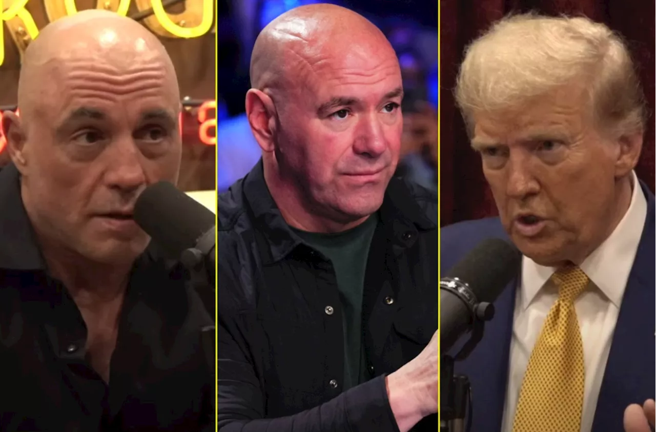 Joe Rogan discusses game-changing Dana White boxing rumour with Donald Trump...