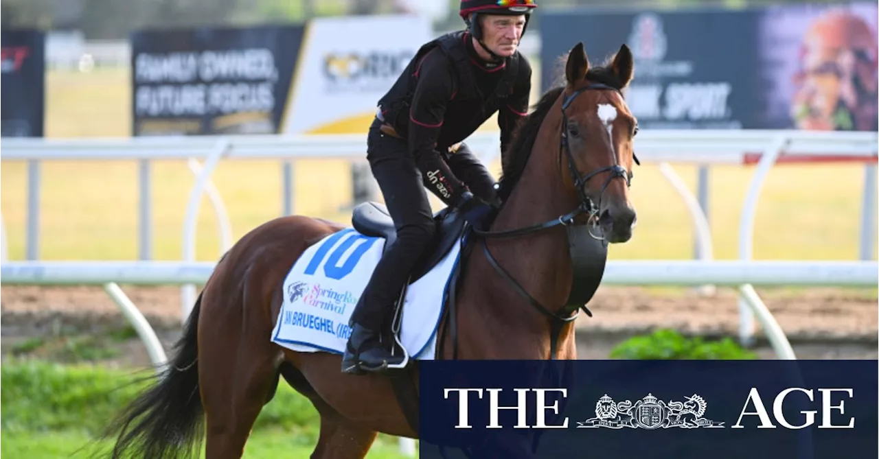 European star Jan Brueghel ruled out of Melbourne Cup