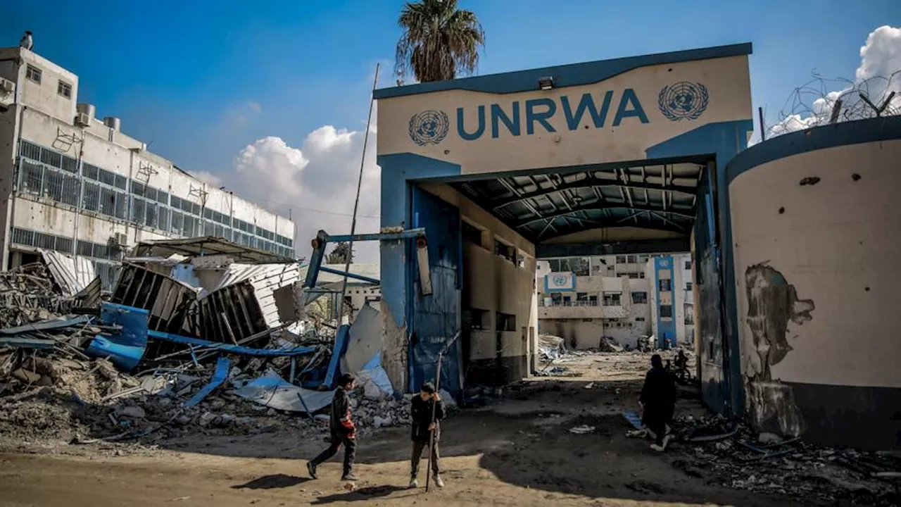 Israel's actions to ban UNRWA breaches international law, says Türkiye