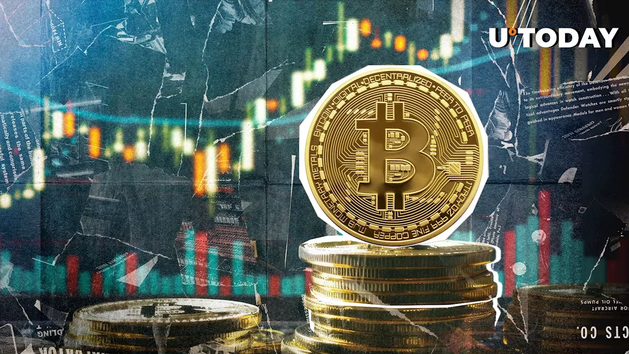 99% of Bitcoin Holders Become Profitable as BTC Nears All-Time High