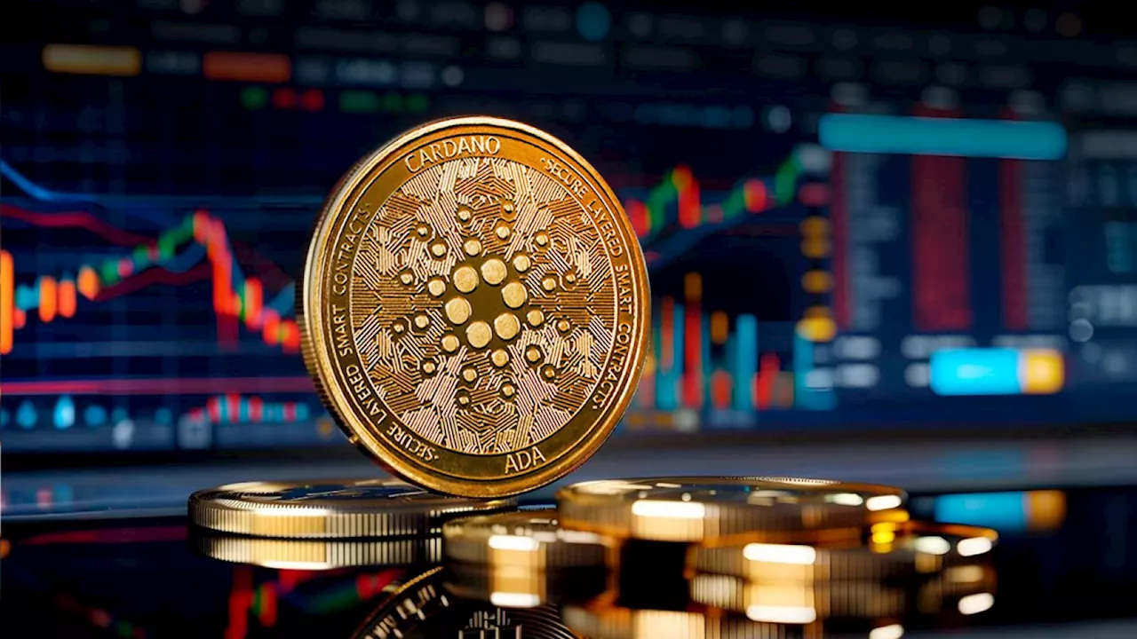 Five Things to Expect in Cardano's Upcoming Chang 2 Upgrade