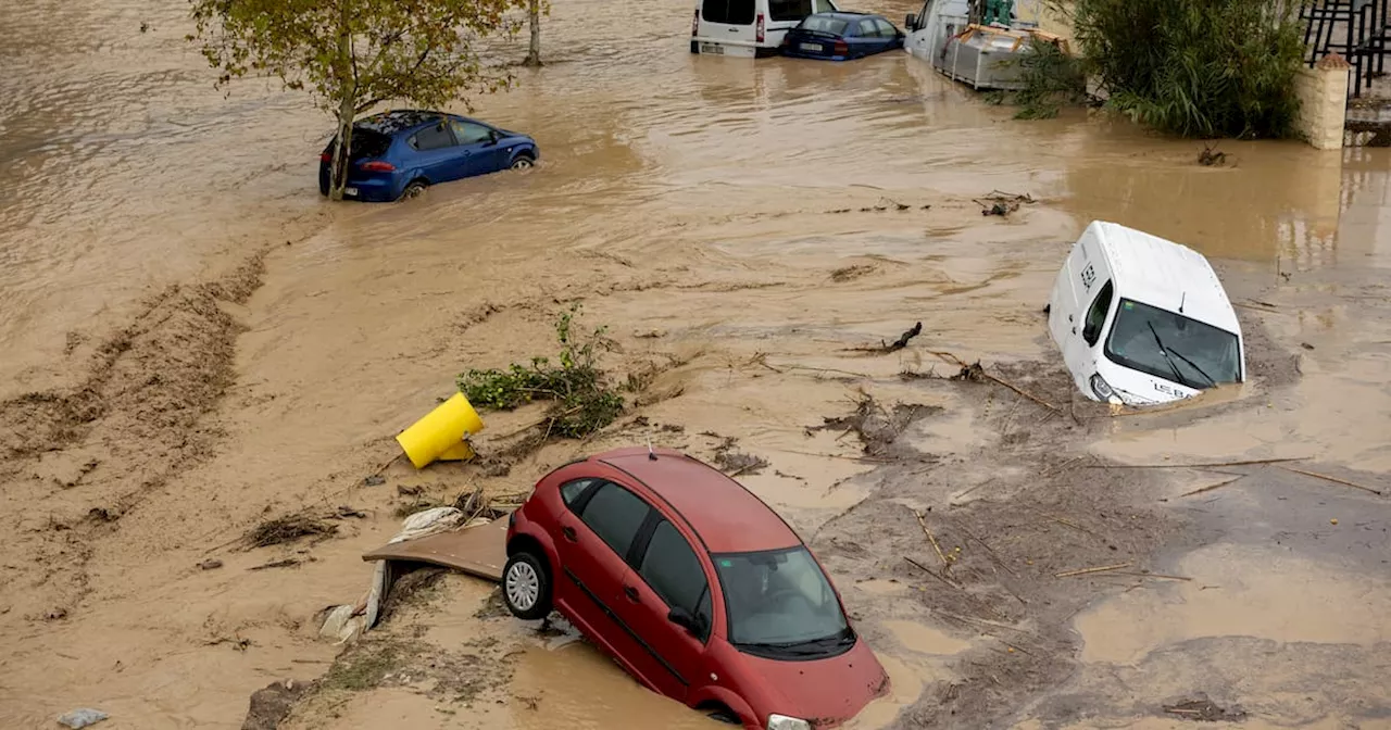 Emergencia en España: cierre de puertos, inundaciones y daños tras fuertes lluvias