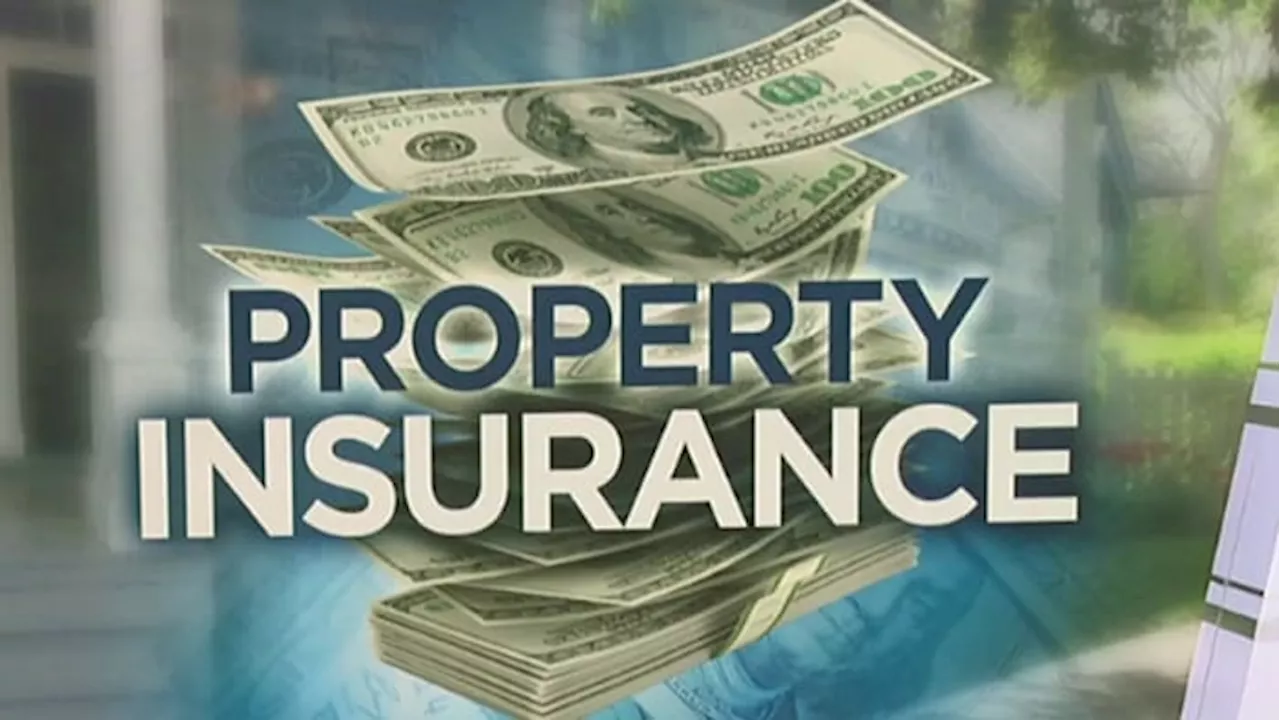 Citizens Property Insurance is seeing a decrease in policy count. Why experts say this is a ‘huge step toward stability’