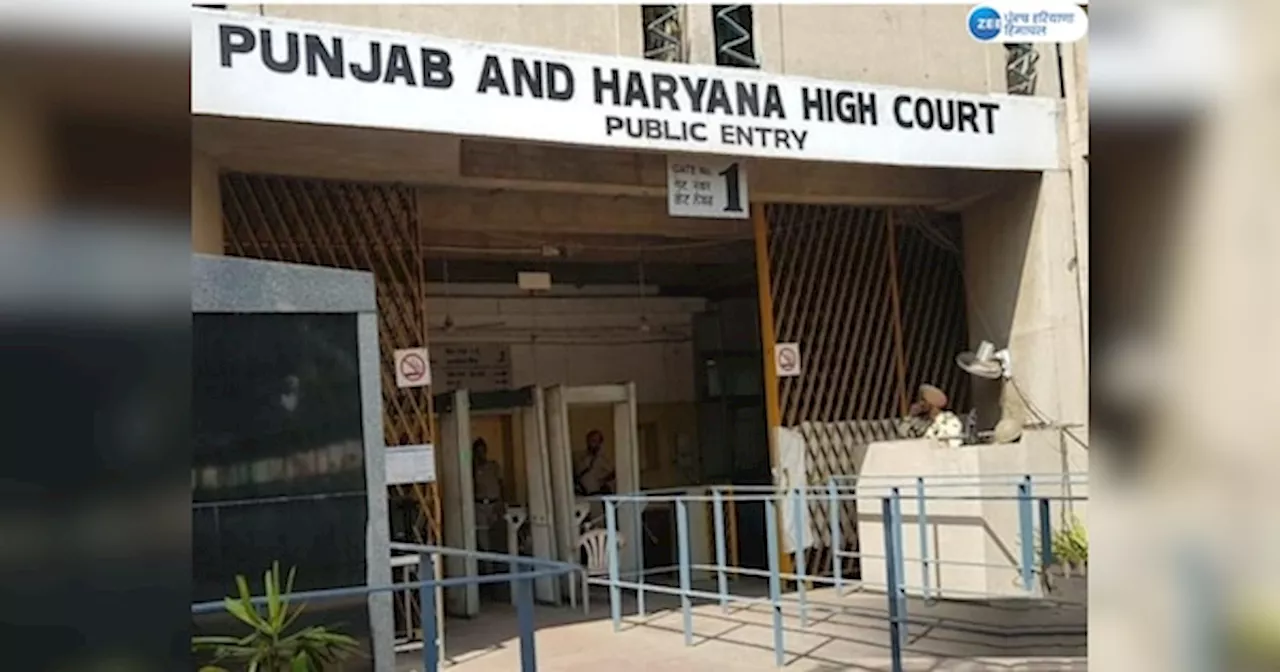 High Court News: ਝੋਨੇ ਦੀ ਖਰੀਦ ਤੇ ਲਿਫਟਿੰਗ ਨੂੰ ਲੈ ਕੇ ਹਾਈ ਕੋਰਟ ਨੇ ਪੰਜਾਬ ਤੇ ਕੇਂਦਰ ਸਰਕਾਰ ਨੂੰ ਜਾਰੀ ਕੀਤੇ ਹੁਕਮ