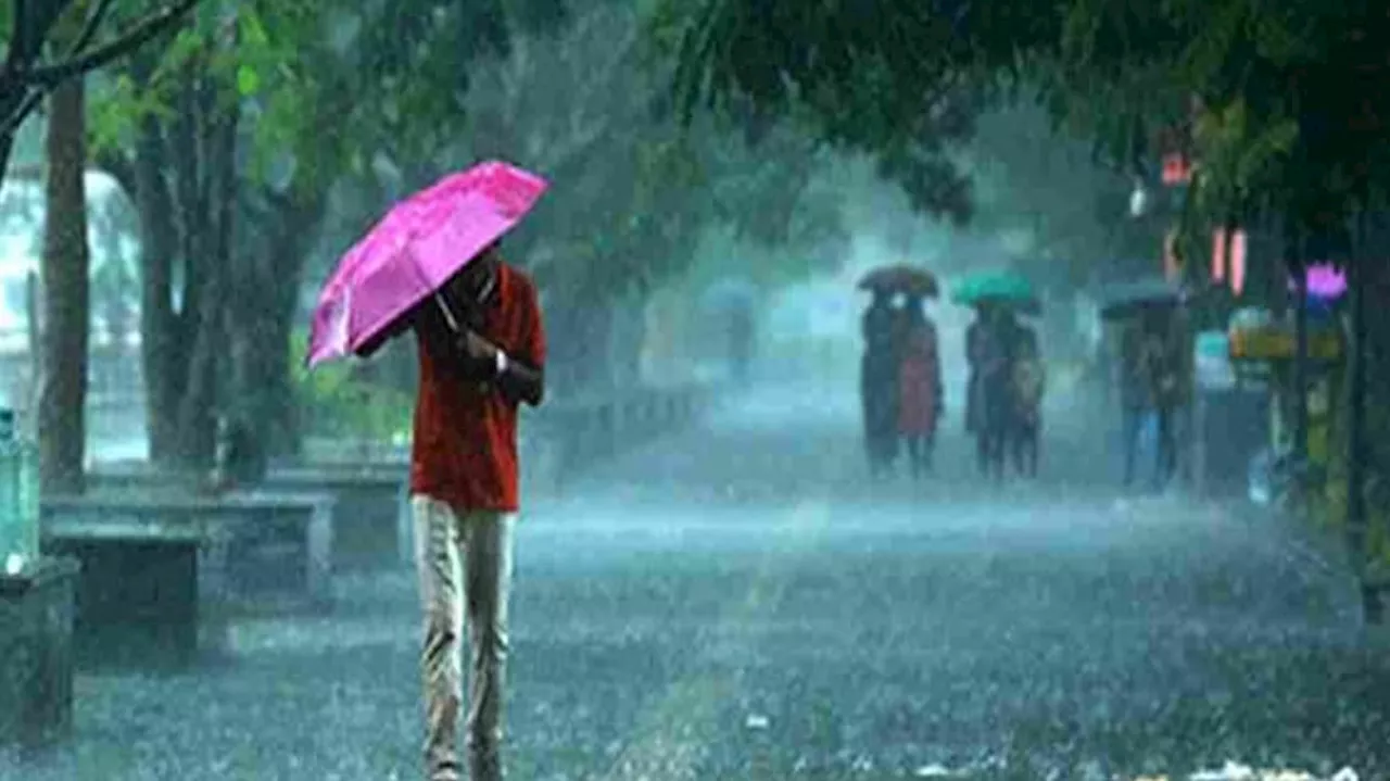 Kerala Rain Alert: സംസ്ഥാനത്ത് ശക്തമായ മഴയ്ക്ക് ശമനം; ഇന്ന് മഴ മുന്നറിയിപ്പില്ല!