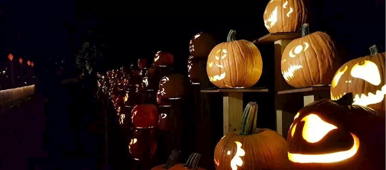 El 73% de los colombianos celebrará Halloween este año, según Fenalco