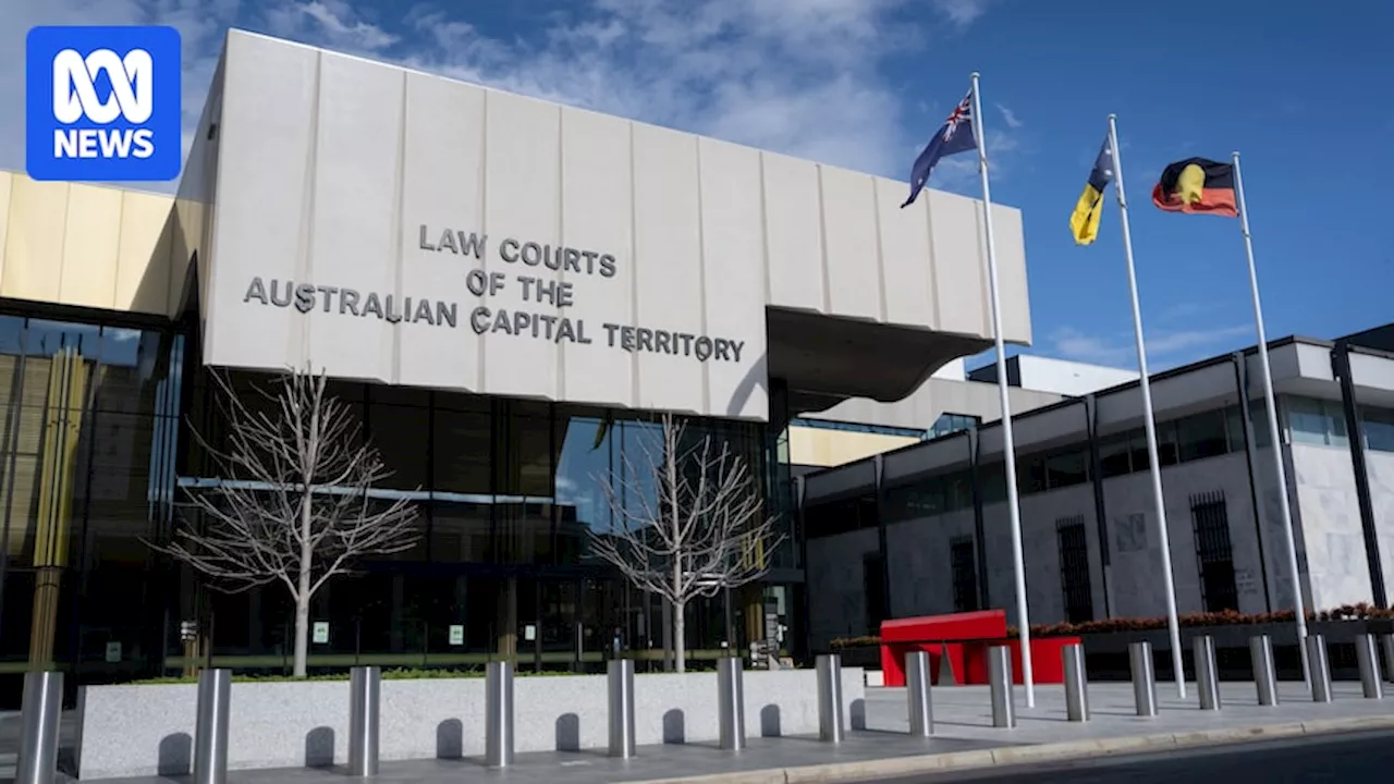 Court documents reveal allegations of Canberra man's 'gratuitous violence' against heavily pregnant partner