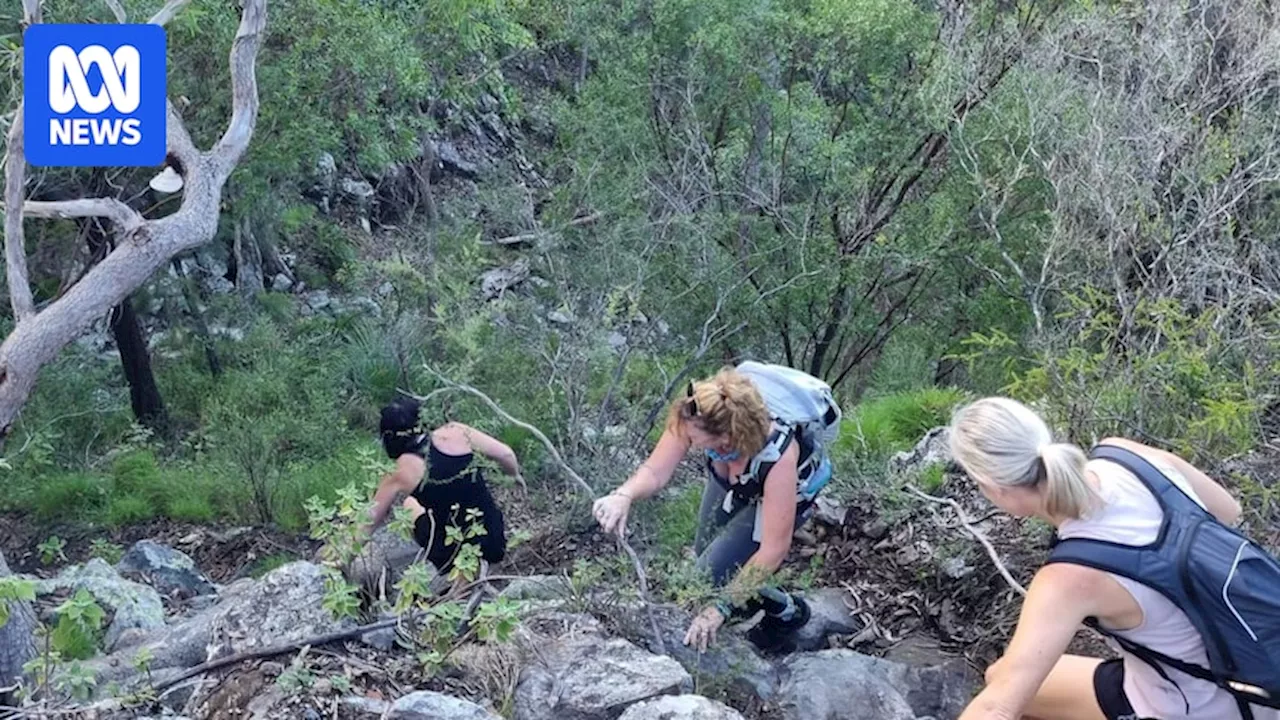 Phytophthora microscopic mould shuts popular Glass House Mountains trail as a national biosecurity risk