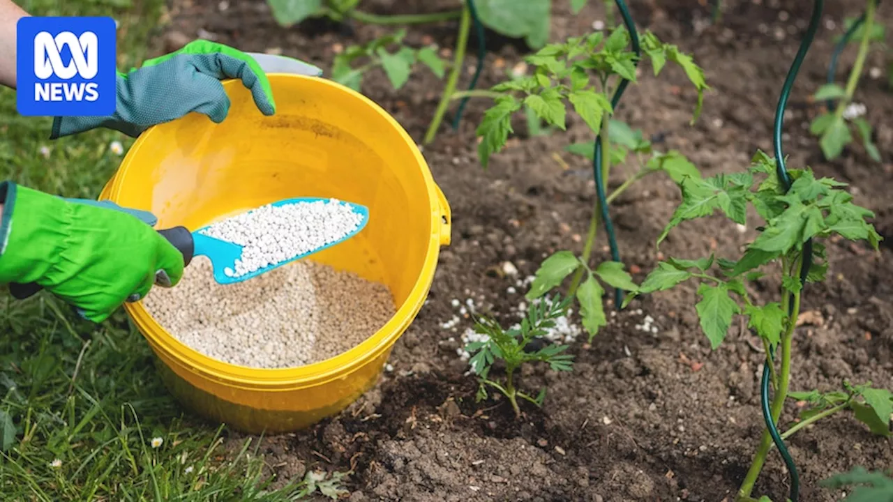 Why Fertilize Your Garden?