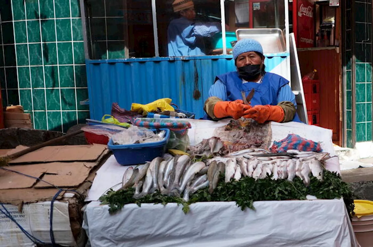 Il 70,5% ritiene la pesca un settore fondamentale per l'economia