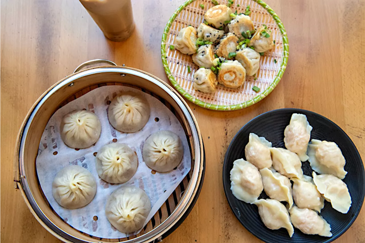 Restaurant Review: Just Tasty Dumplings at Dumpling World