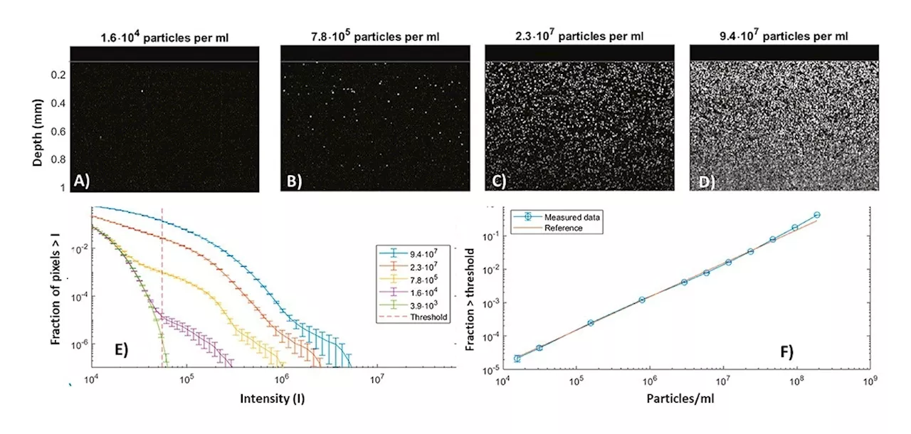 Large Particle Detection Mode Extends SR-DLS Capabilities for Nanosuspension Characterization