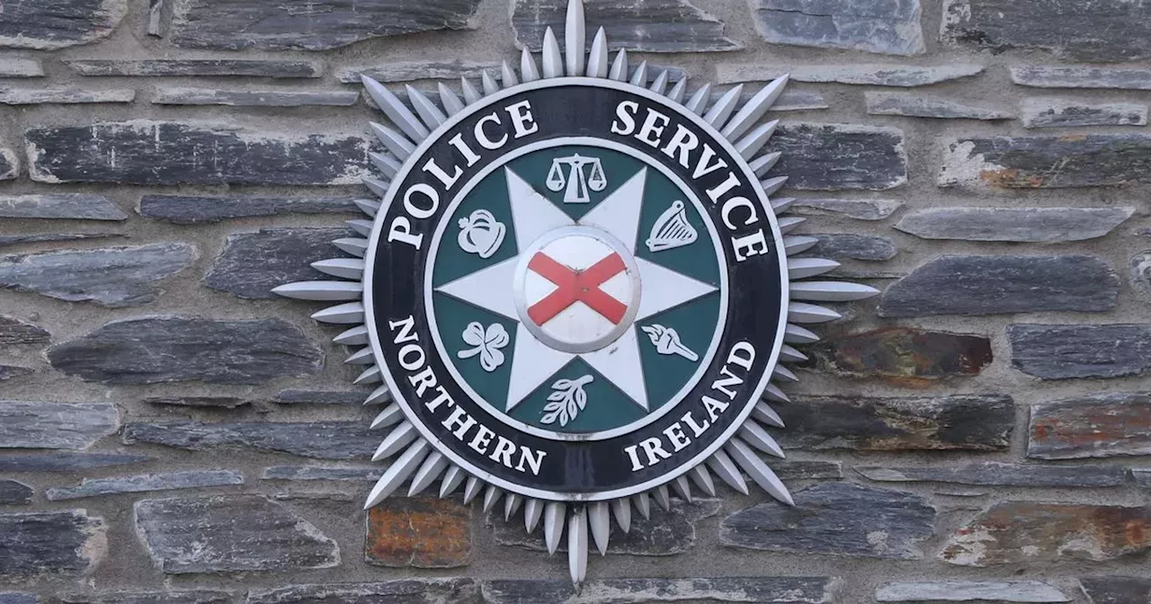 Officers leave the force and spend thousands on security due to PSNI data breach