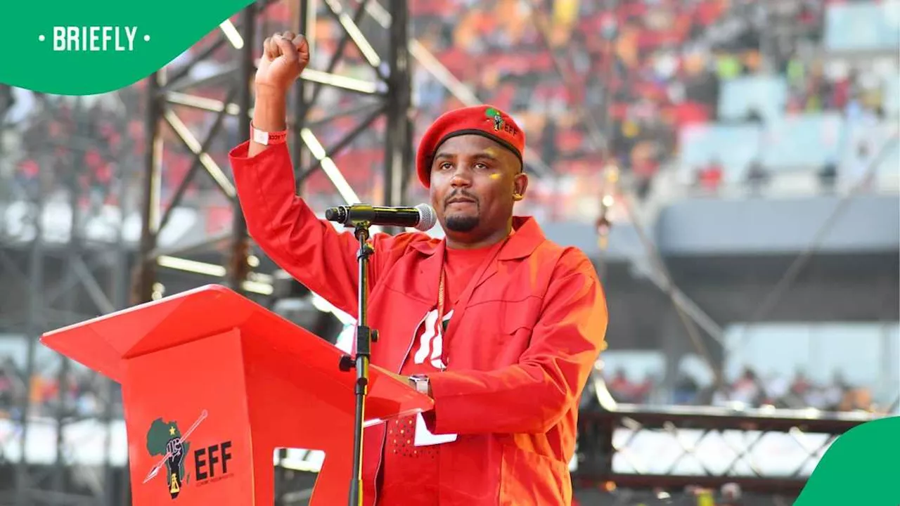 EFF Condemns Assassination Attempt on Gauteng Chairperson, Party Concerned About Political Violence