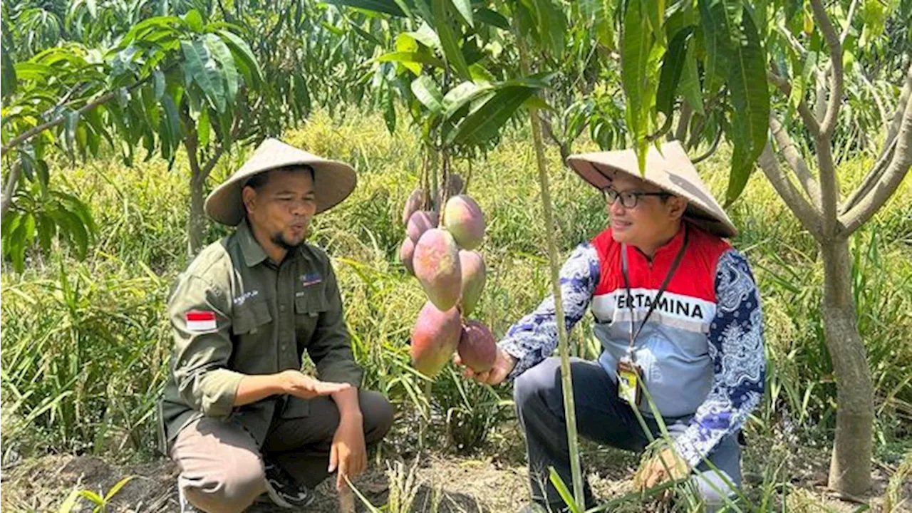 Pertamina EP Lakukan 3 Program Ini untuk Berdayakan Masyarakat Subang