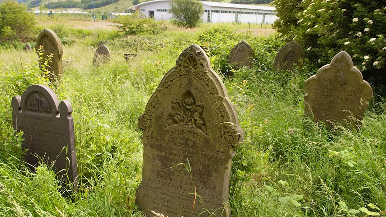 Disused cemeteries could be used for houses or new graves under new legal recommendations